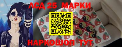 гидропоника Краснознаменск