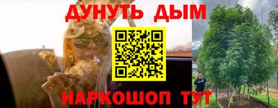 гидропоника Краснознаменск