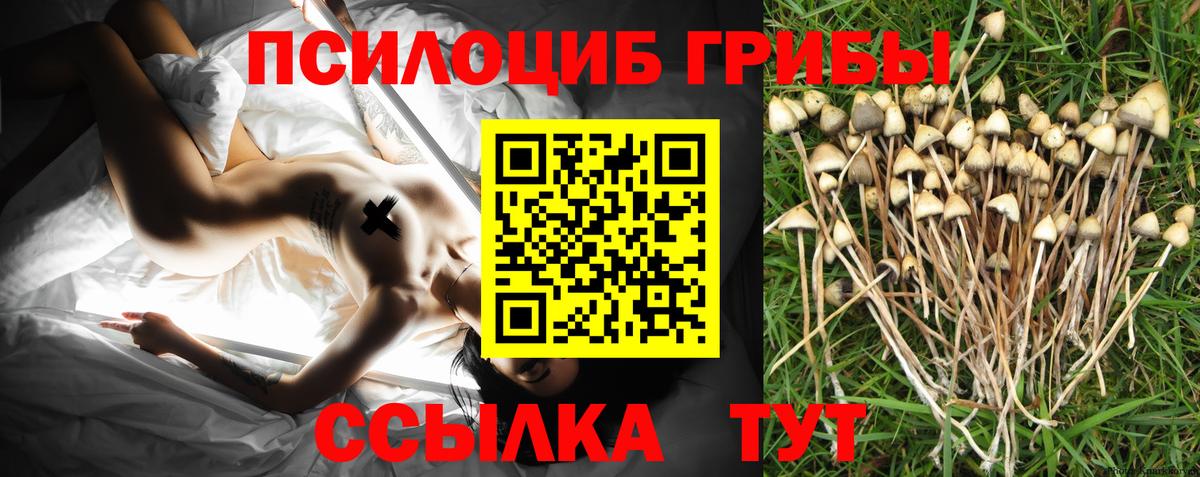 Галлюциногенные грибы мухоморы Кировск