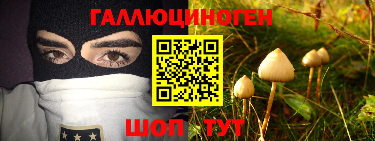 Кировск  Псилоцибиновые грибы мухоморы  Галлюциногенные грибы мухоморы  Вход с VPN 